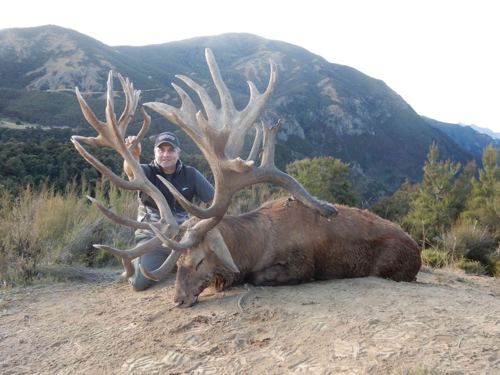 red stag hunting trips new zealand