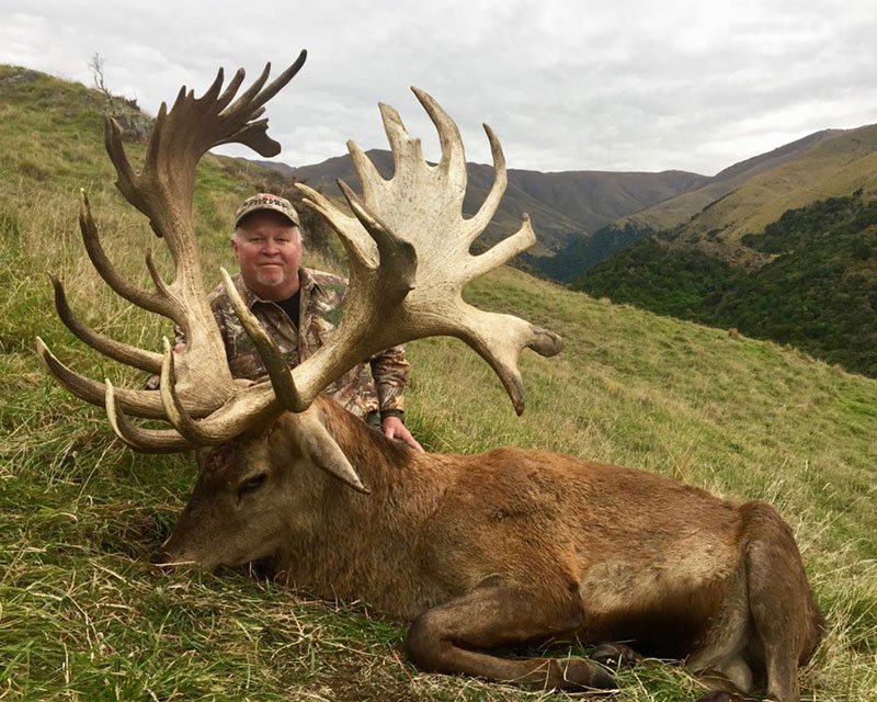 red stag hunting trips new zealand