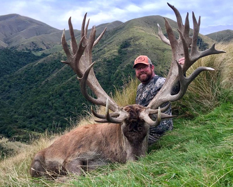 red stag hunting trips new zealand