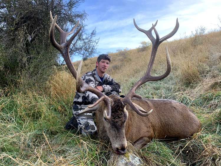 red stag hunting trips new zealand